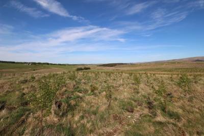 Eddleston,  EH46 7BQ