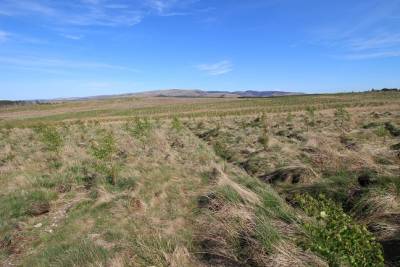 Eddleston,  EH46 7BQ