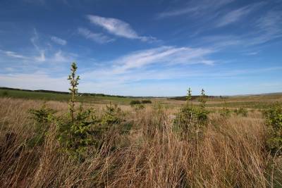 Eddleston,  EH46 7BQ