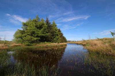 Eddleston,  EH46 7BQ