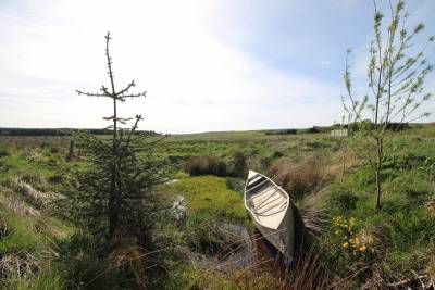 Eddleston,  EH46 7BQ