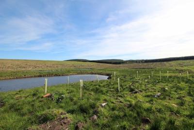 Eddleston,  EH46 7BQ