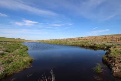 Eddleston,  EH46 7BQ