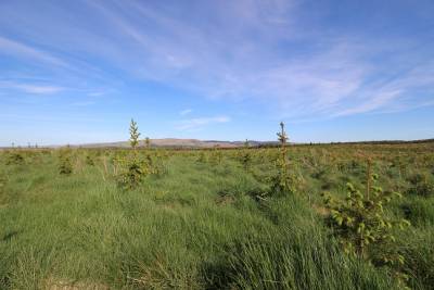 Eddleston,  EH46 7BQ