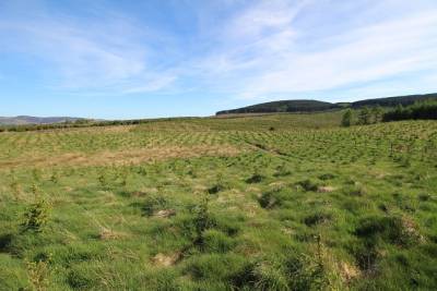 Eddleston,  EH46 7BQ