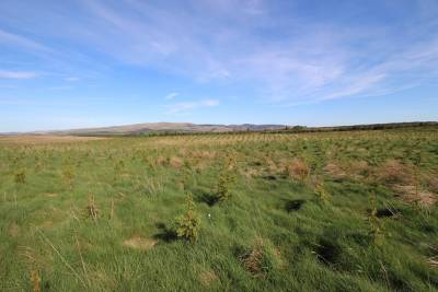 Eddleston,  EH46 7BQ