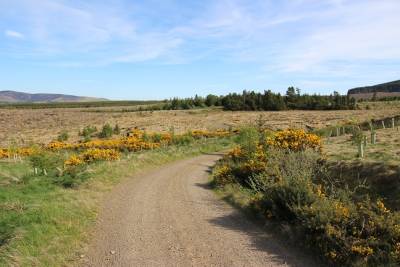 Eddleston,  EH46 7BQ