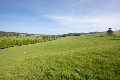 Eddleston,  EH45 8QB