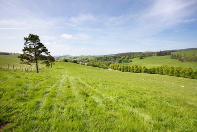 Eddleston,  EH45 8QB