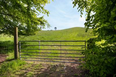 Eddleston,  EH45 8QB