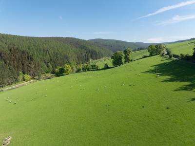 Peebles,  EH45 9HT