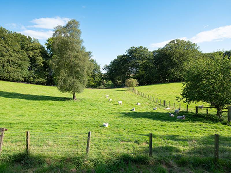 Walton, Garvald, West Linton,  EH46 7HJ