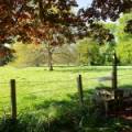 Kerfield House (East), Innerleithen Road, Peebles,  EH45 8BG