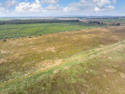 Carnwath, South Lanarkshire ML11 8LR