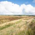 Carnwath, South Lanarkshire ML11 8LR