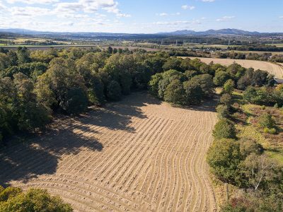 Musselburgh, East Lothian EH21 8PY