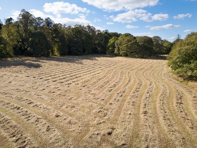 Musselburgh, East Lothian EH21 8PY