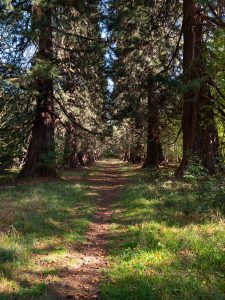 Musselburgh, East Lothian EH21 8PY