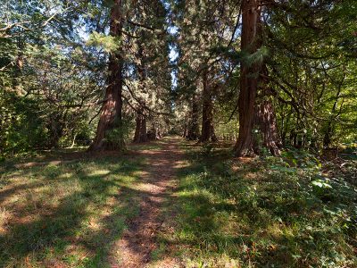 Musselburgh, East Lothian EH21 8PY