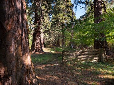 Musselburgh, East Lothian EH21 8PY