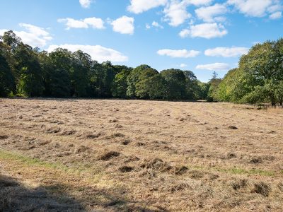 Musselburgh, East Lothian EH21 8PY