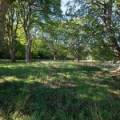 Musselburgh, East Lothian EH21 8PY