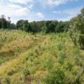 Lot 2 West Mains Farm  Blyth Bridge, Peeblesshire EH46 7AH