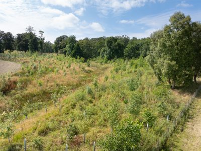 Lot 2 West Mains Farm  Blyth Bridge, Peeblesshire EH46 7AH