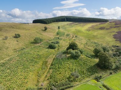 Lot 2 West Mains Farm  Blyth Bridge, Peeblesshire EH46 7AH