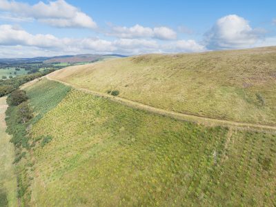 Lot 2 West Mains Farm  Blyth Bridge, Peeblesshire EH46 7AH