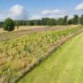Lot 2 West Mains Farm  Blyth Bridge, Peeblesshire EH46 7AH