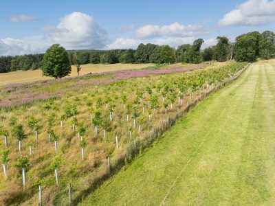 Lot 2 West Mains Farm  Blyth Bridge, Peeblesshire EH46 7AH