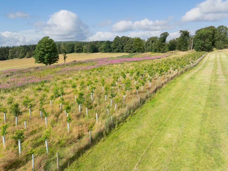 West Mains Farm, Blyth Bridge, Peeblesshire EH46 7AH