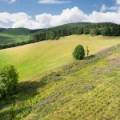 Lot 2 West Mains Farm  Blyth Bridge, Peeblesshire EH46 7AH
