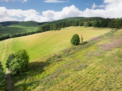 Lot 2 West Mains Farm  Blyth Bridge, Peeblesshire EH46 7AH