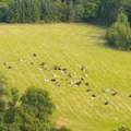 Lot 2 West Mains Farm  Blyth Bridge, Peeblesshire EH46 7AH