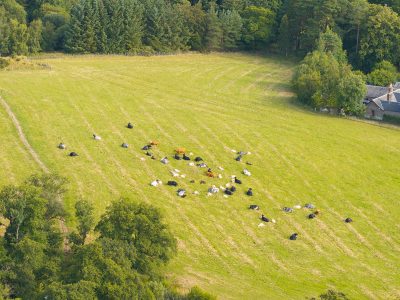 Lot 2 West Mains Farm  Blyth Bridge, Peeblesshire EH46 7AH