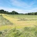 Lot 1 West Mains Farm  Blyth Bridge, Peeblesshire EH46 7AH