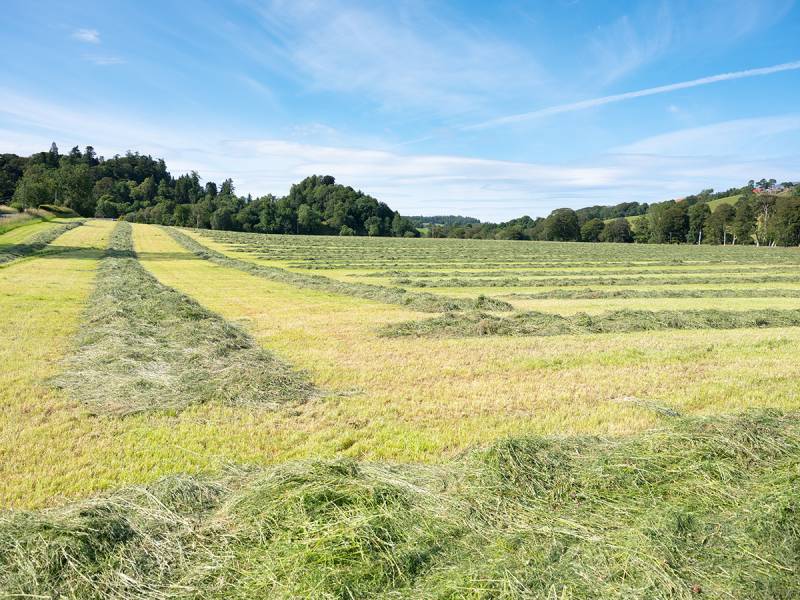 Lot 1 West Mains Farm  Blyth Bridge, Peeblesshire EH46 7AH