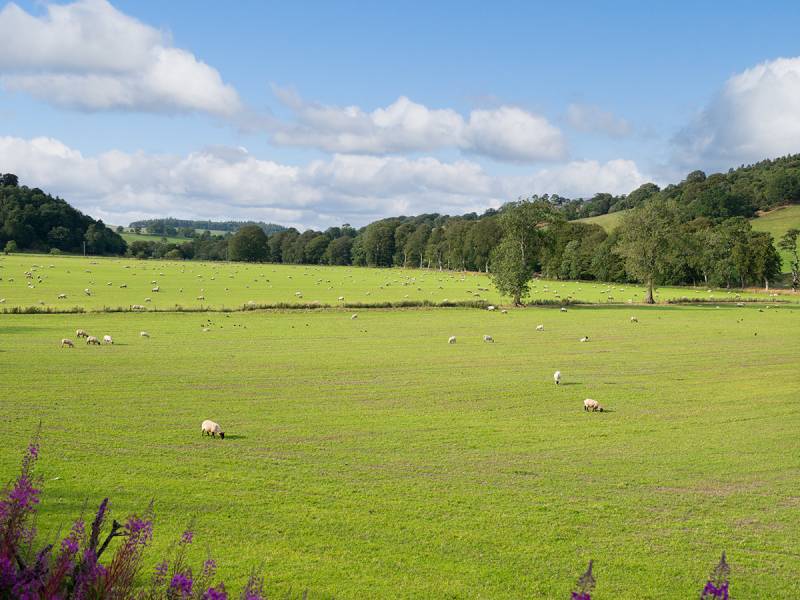 Lot 1 West Mains Farm  Blyth Bridge, Peeblesshire EH46 7AH