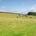 Lot 2 West Mains Farm  Blyth Bridge, Peeblesshire EH46 7AH