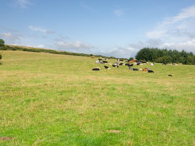 Lot 2 West Mains Farm  Blyth Bridge, Peeblesshire EH46 7AH
