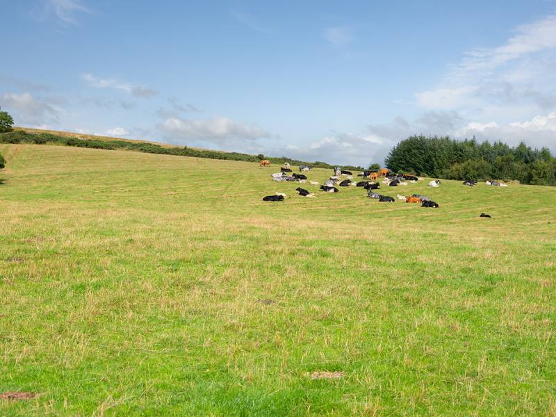 West Mains Farm, Blyth Bridge, Peeblesshire EH46 7AH