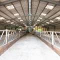 Lot 2 West Mains Farm  Blyth Bridge, Peeblesshire EH46 7AH
